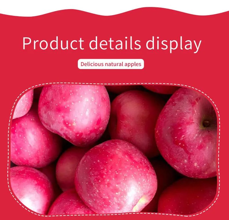 Top Quality Organic Apples Made in Italy 