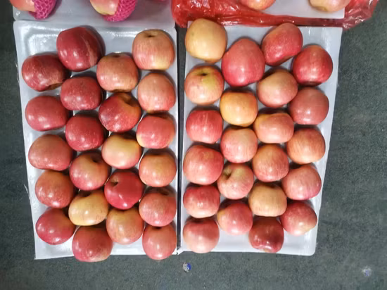 天然リンゴ果実、新鮮な赤富士、中国産ルースフレッシュリンゴ果実