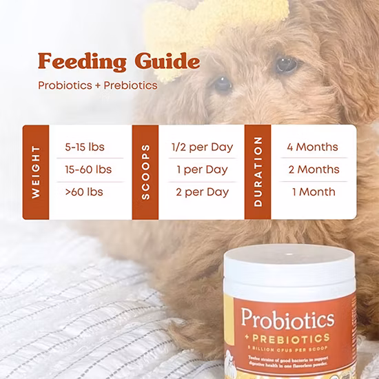 獣医師によって最大限の強度で配合された高度な天然プロバイオティクスパウダー、犬と猫用の認定オーガニックプロバイオティクス