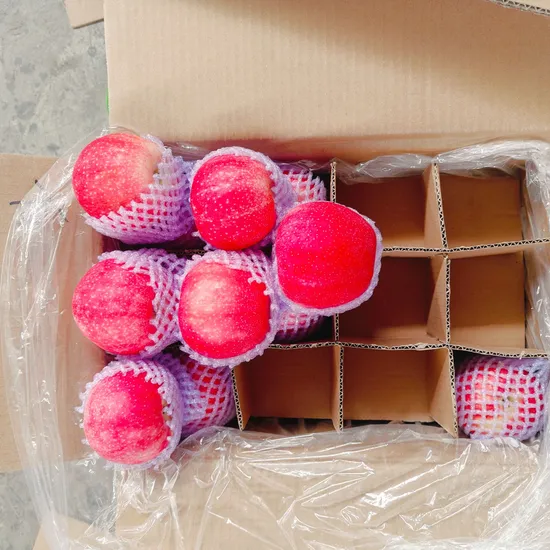 新収穫、新鮮な果物、中国産の新鮮なふじりんご