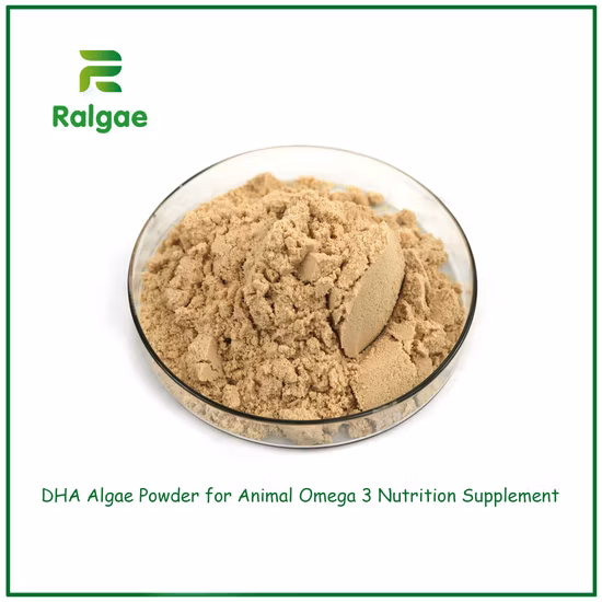 動物飼料品質高品質飼料添加物ティラピア魚の食品クロストリジウム酪酸プロバイオティクス粉末